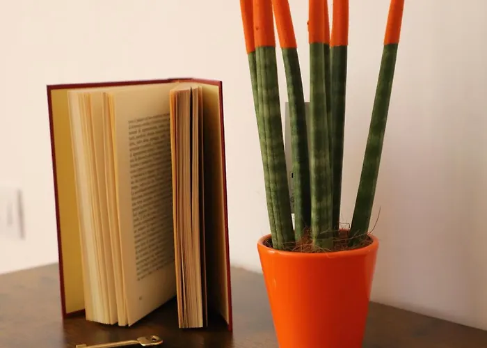 Bernadette Boutique ナポリ